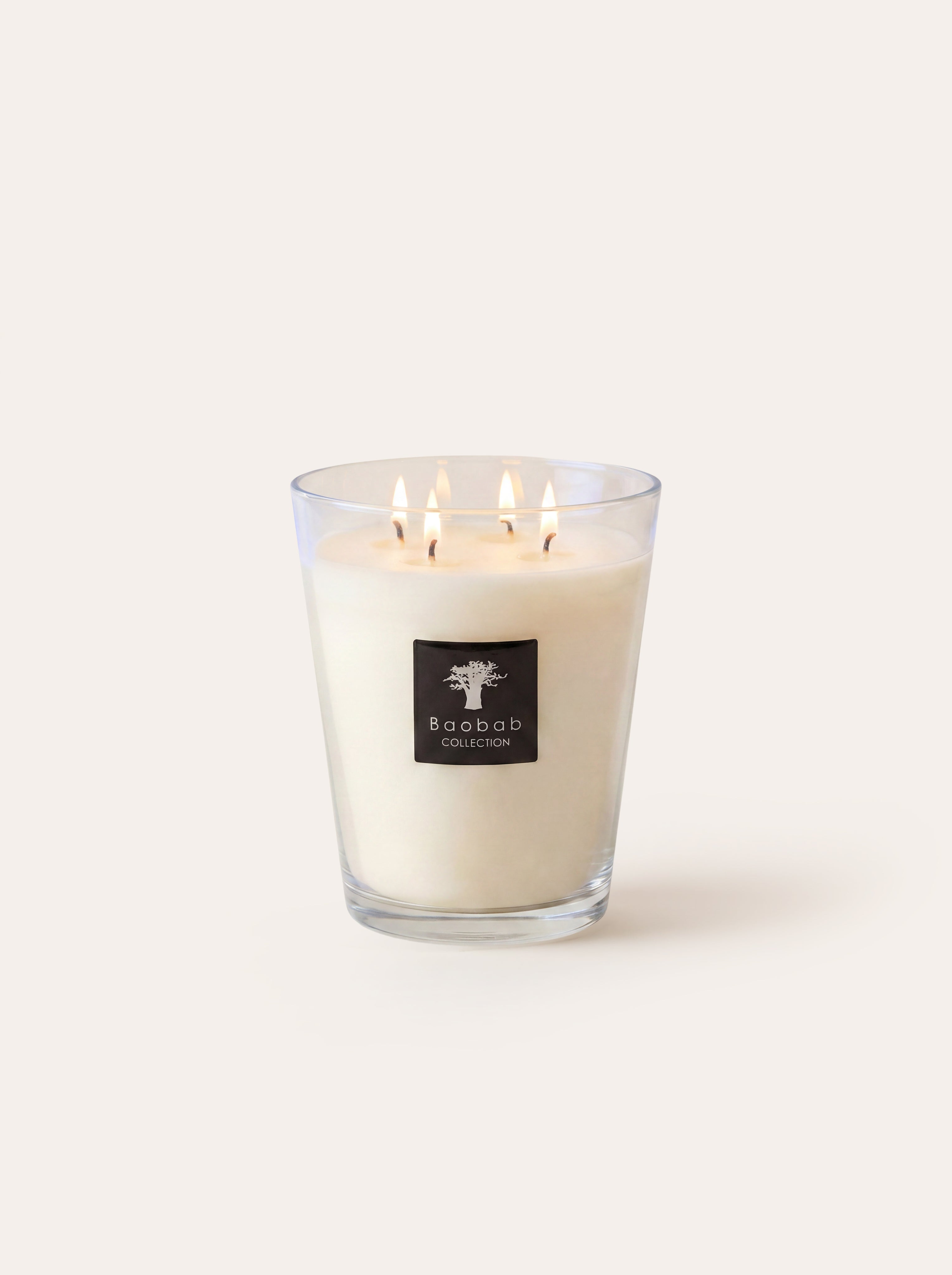 baobab-all-seasons-madagascar-vanilla-bougie-classique image 4