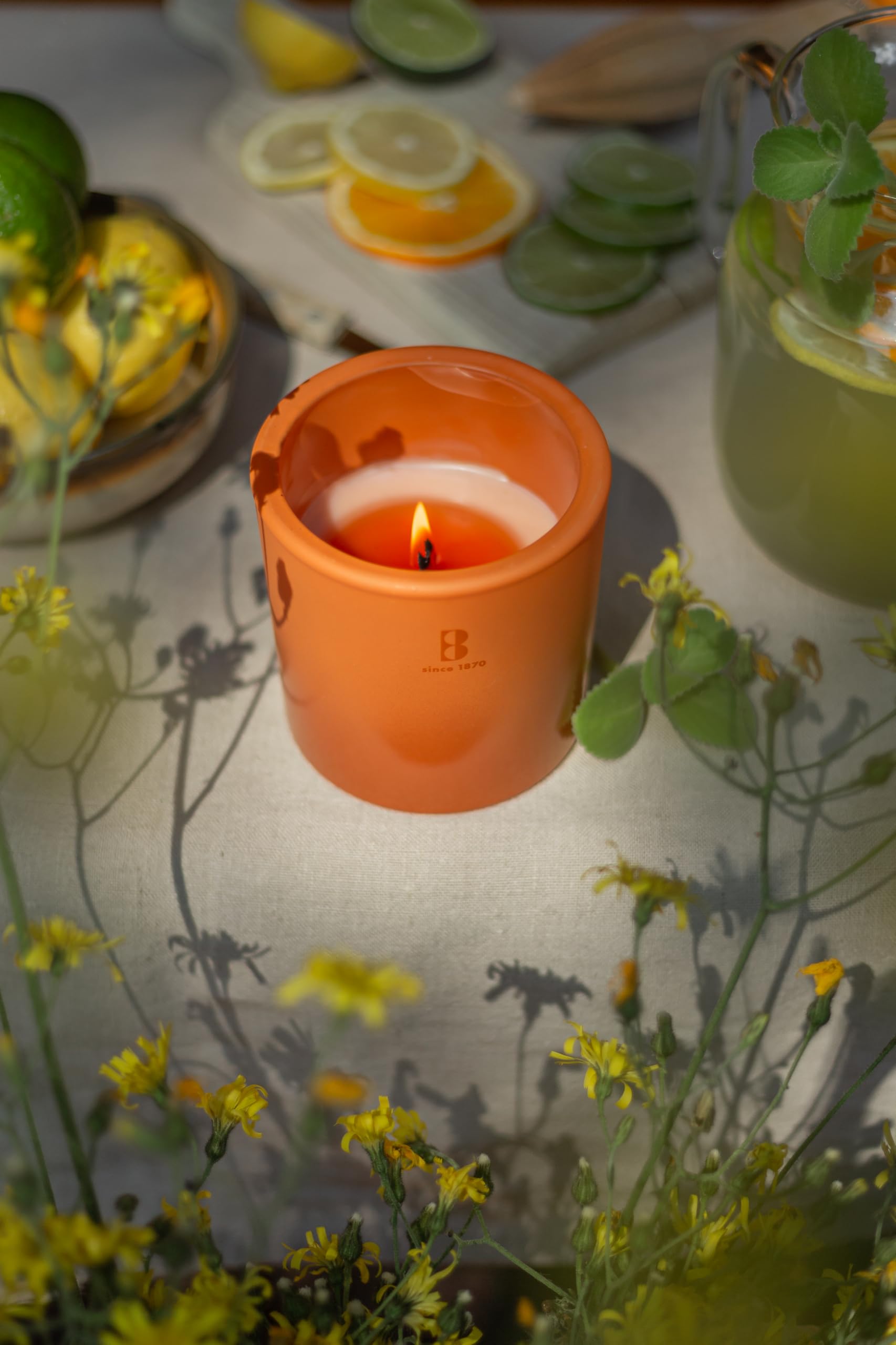 bolsius-summer-nights-bougie-ext-rieur-60h-terracotta image 3