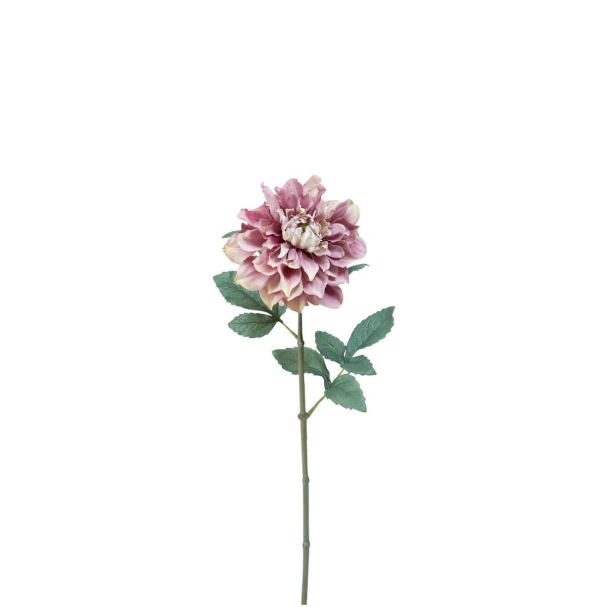 sia-deco-noah-tige-dahlia-waterlily-fleur-artificielle-rose-jaune-58-cm image 8