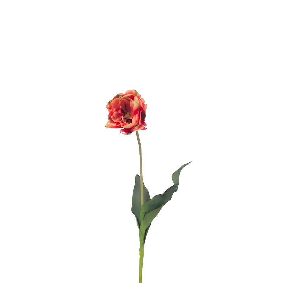 sia-noah-tige-tulipe-double-artificielle-orange-70-cm image 1