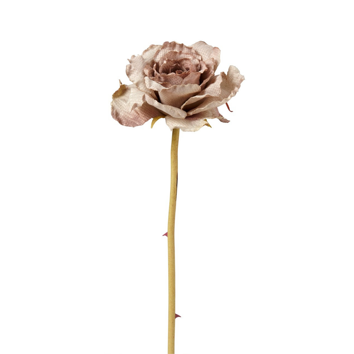sia-deco-noah-leslie-tige-rose-violet-55cm-ouverte image 5