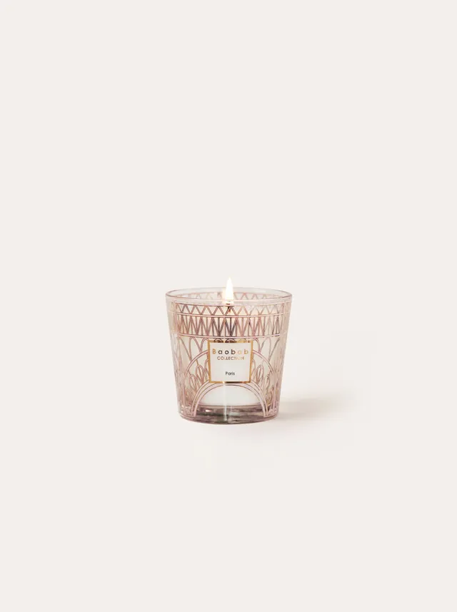 baobab-collection-my-first-baobab-bougie-paris-08mfb-floral image 1