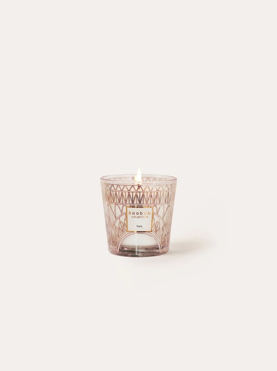 baobab-collection-my-first-baobab-bougie-paris-08mfb-floral image 1