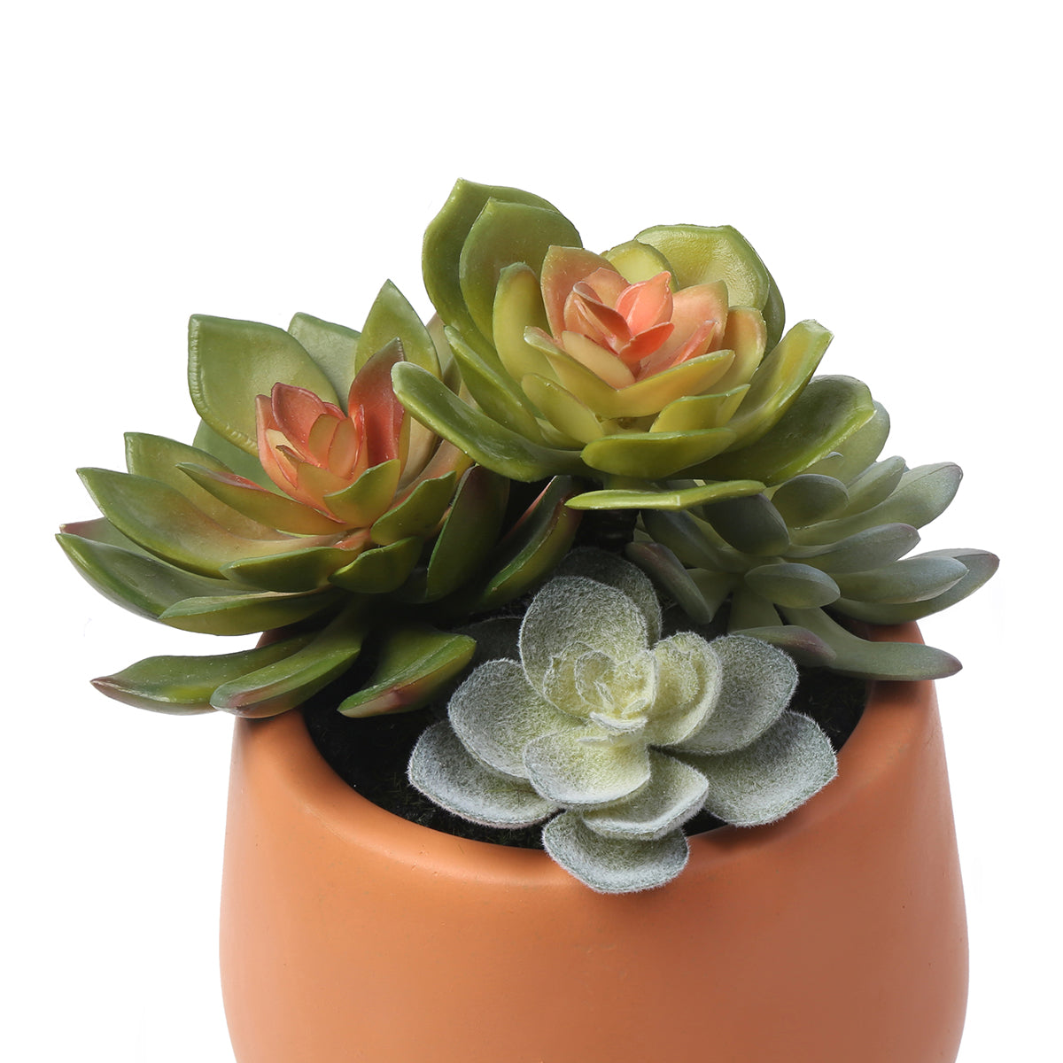 sia-noah-succulente-artificielle-en-pot-vert-7-cm image 5