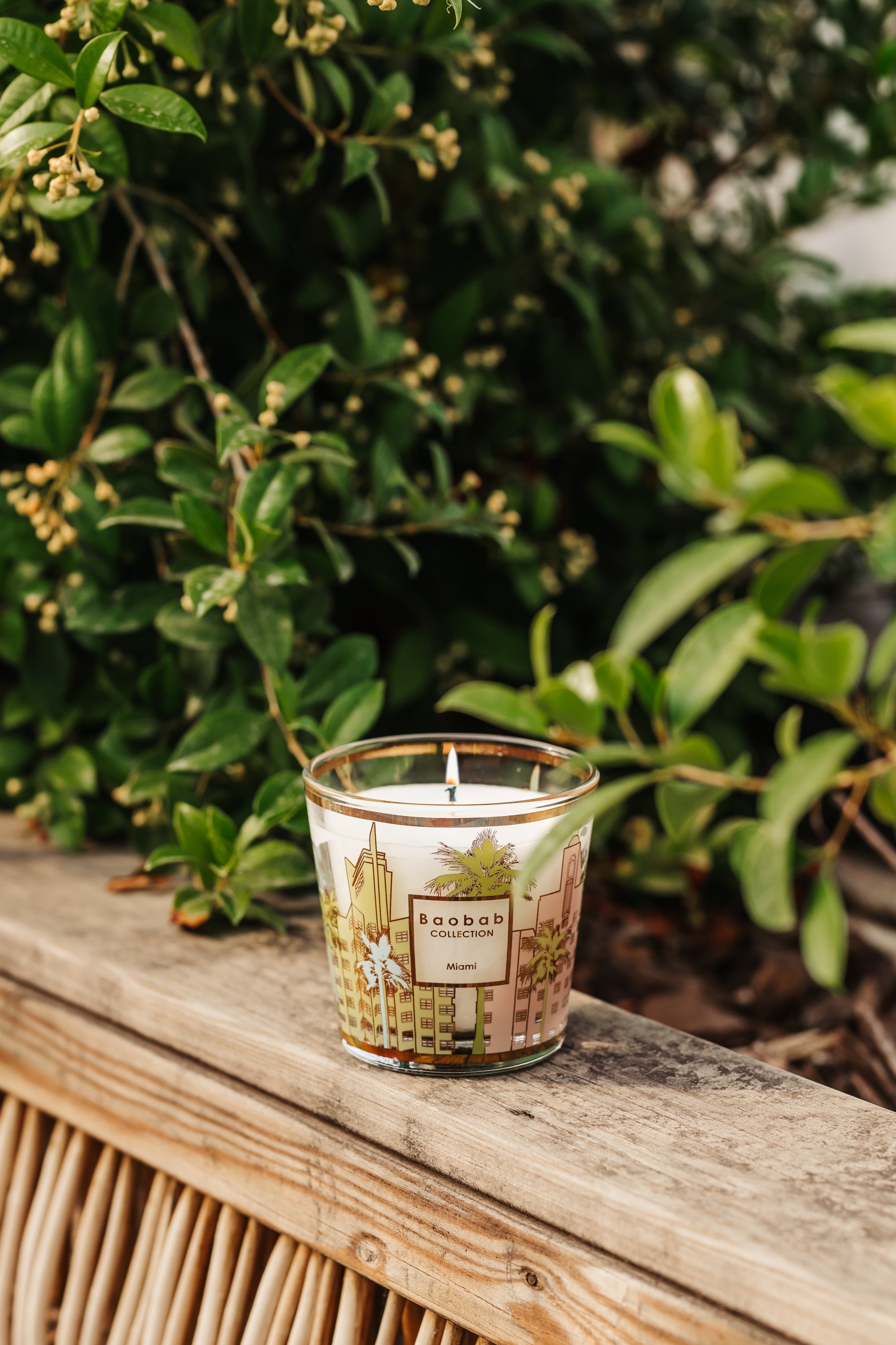 baobab-my-first-baobab-miami-bougie-parfum-e-190-g-30-h image 3