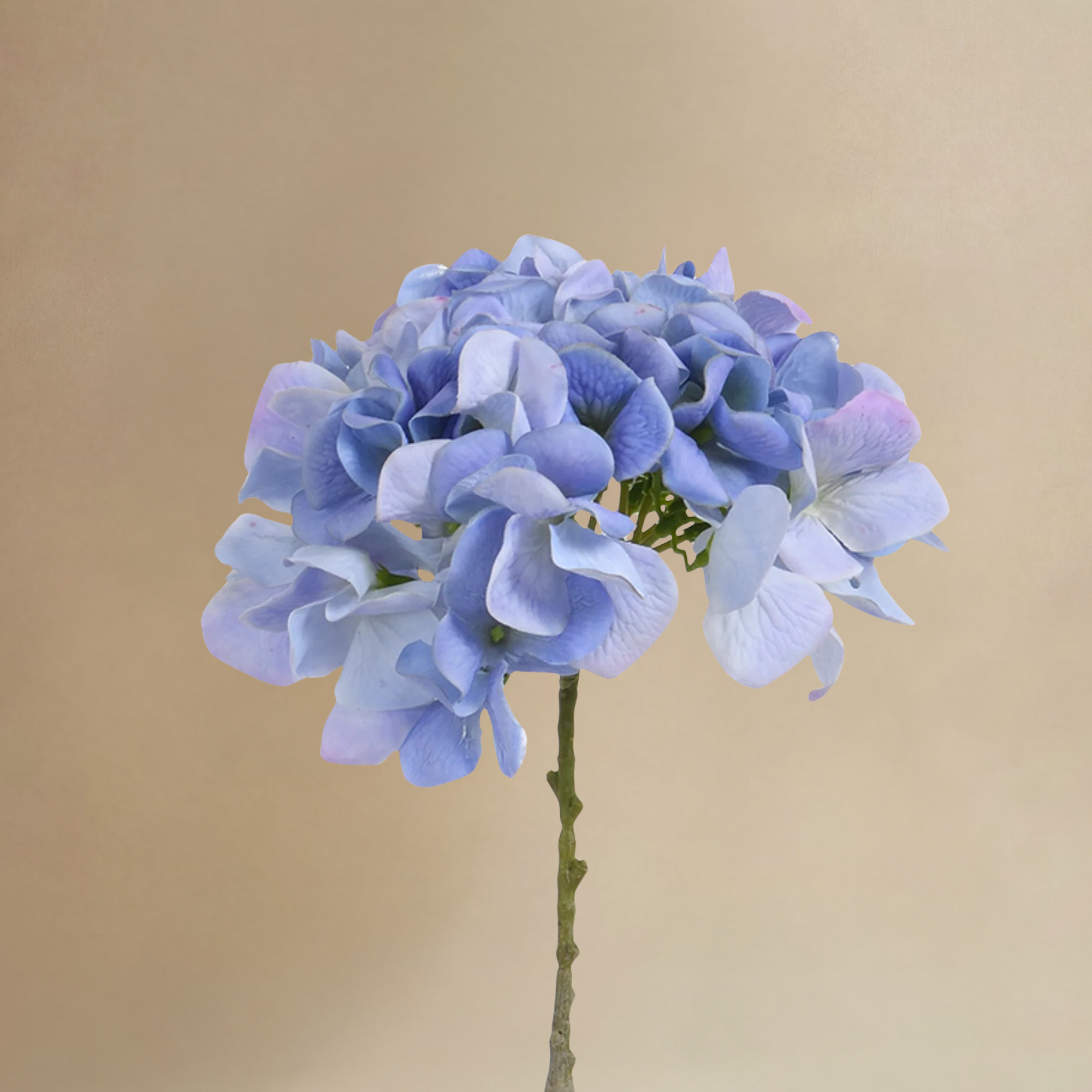 sia-noah-bouquet-hortensia-artificiel-bleu-12-tiges image 4