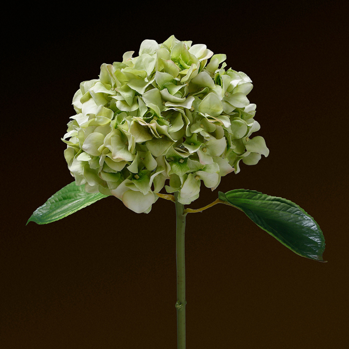 sia-deco-noah-tige-hortensia-artificielle-45-cm-blanc-et-rose image 6