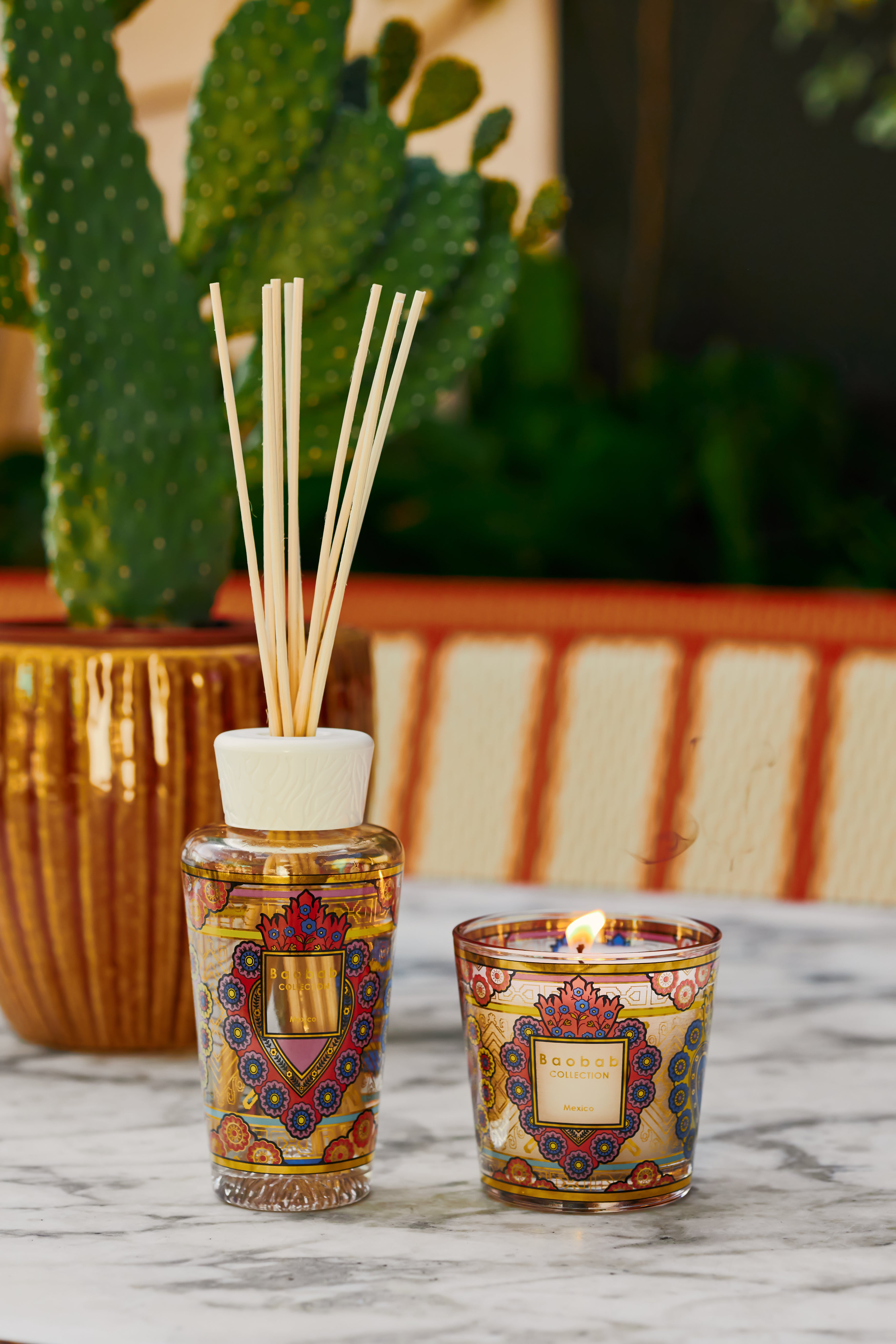 baobab-collection-my-first-baobab-mexico-coffret-bougie-diffuseur-250ml image 4