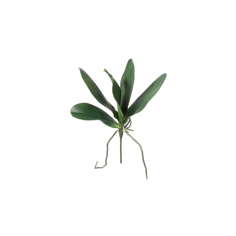 sia-deco-noah-feuillage-orchid-e-piquer-artificiel-vert-20-cm image 1