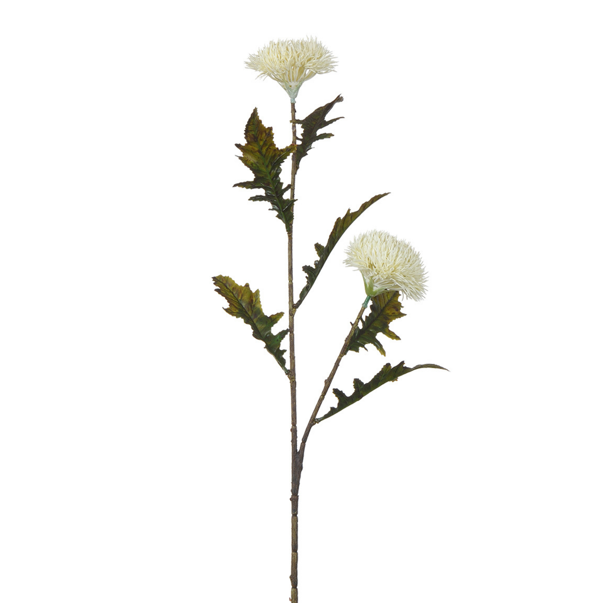 sia-noah-chardon-tige-artificielle-78-cm-blanc image 1