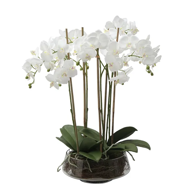 Sia Noah Lena composition orchidée artificielle blanc 72cm