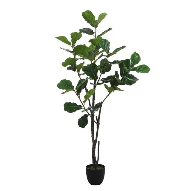 sia-noah-ficus-artificiel-vert-210-cm-en-pot image 1