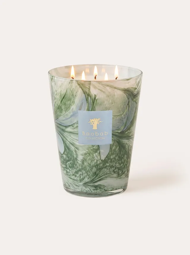 baobab-leaves-marius-bougie-parfum-e-classique-verre-bleu image 1