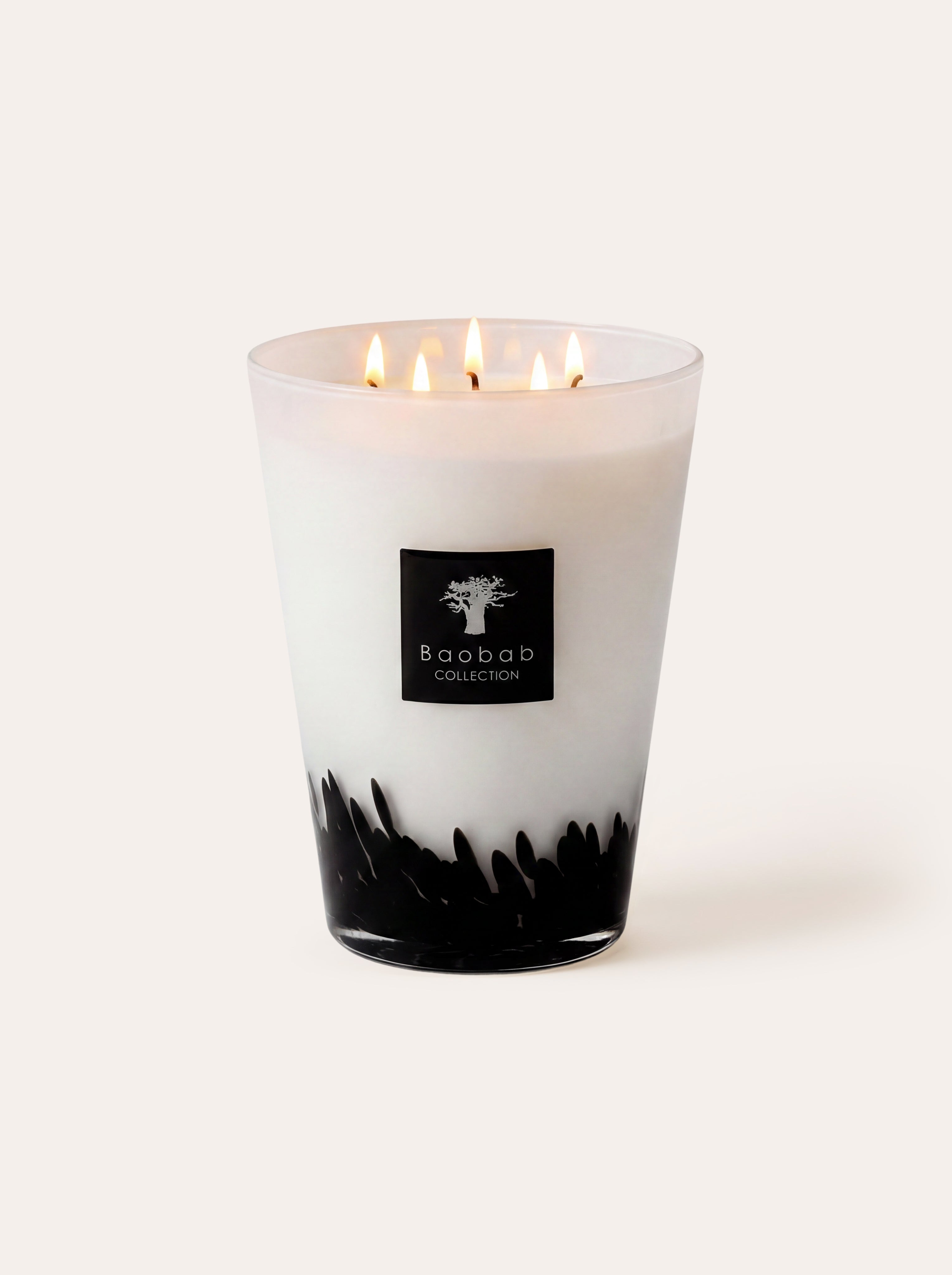 baobab-collection-feathers-bougie-parfum-e-classique-verre-noir image 1