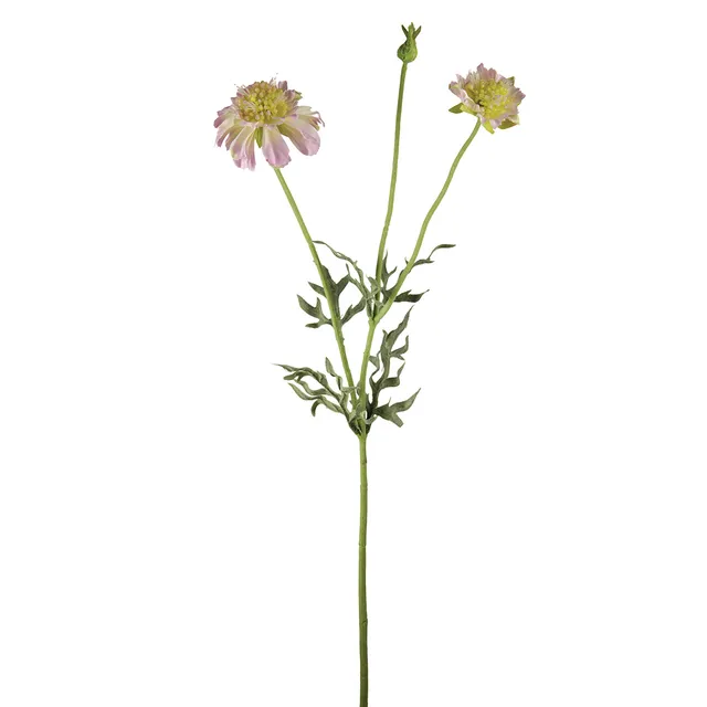 sia-noah-scabiosa-tige-fleur-artificielle-52-cm-mauve image 1