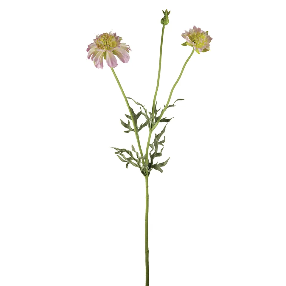 sia-noah-scabiosa-tige-fleur-artificielle-52-cm-mauve image 1