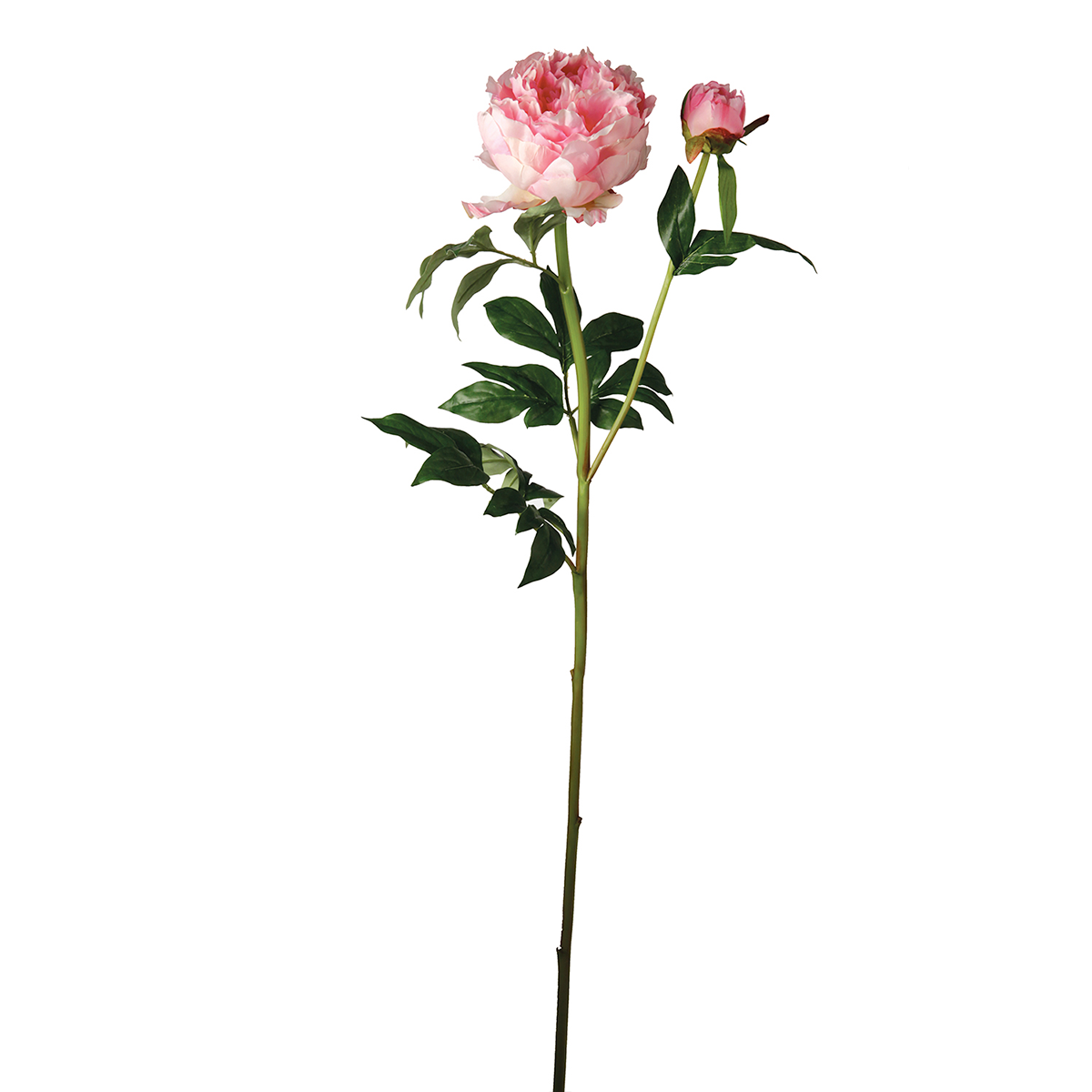sia-deco-tige-pivoine-artificielle-fuchsia-85-cm image 6