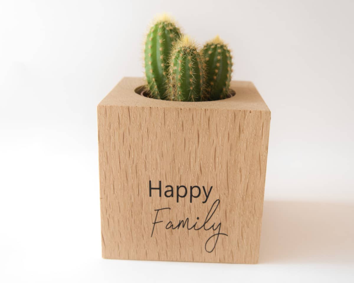 am-cla-happy-family-cache-pot-bois-cube-9x9-ch-ne image 5