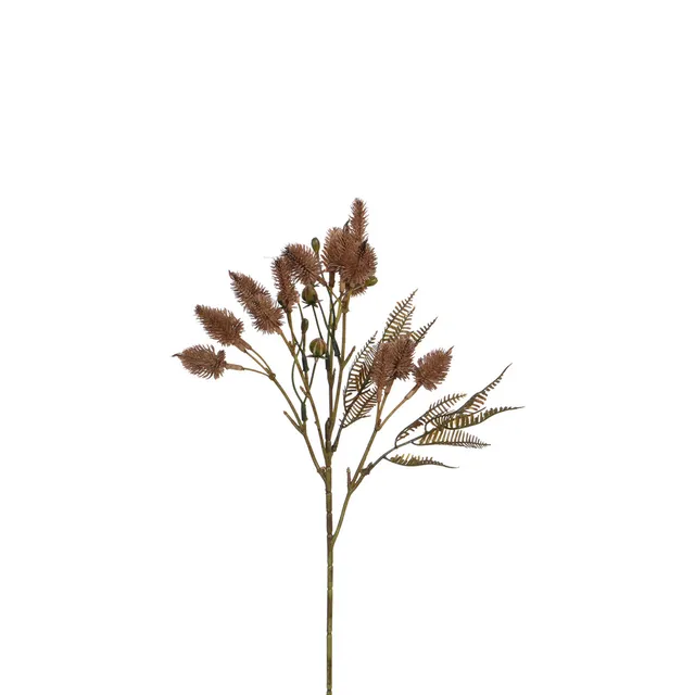 sia-deco-noah-tige-de-chardon-artificielle-50-cm-marron image 1