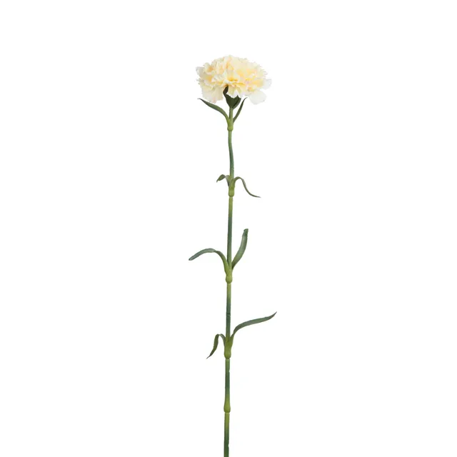 sia-noah-tige-oeillet-artificiel-55-cm-blanc-cr-me image 1