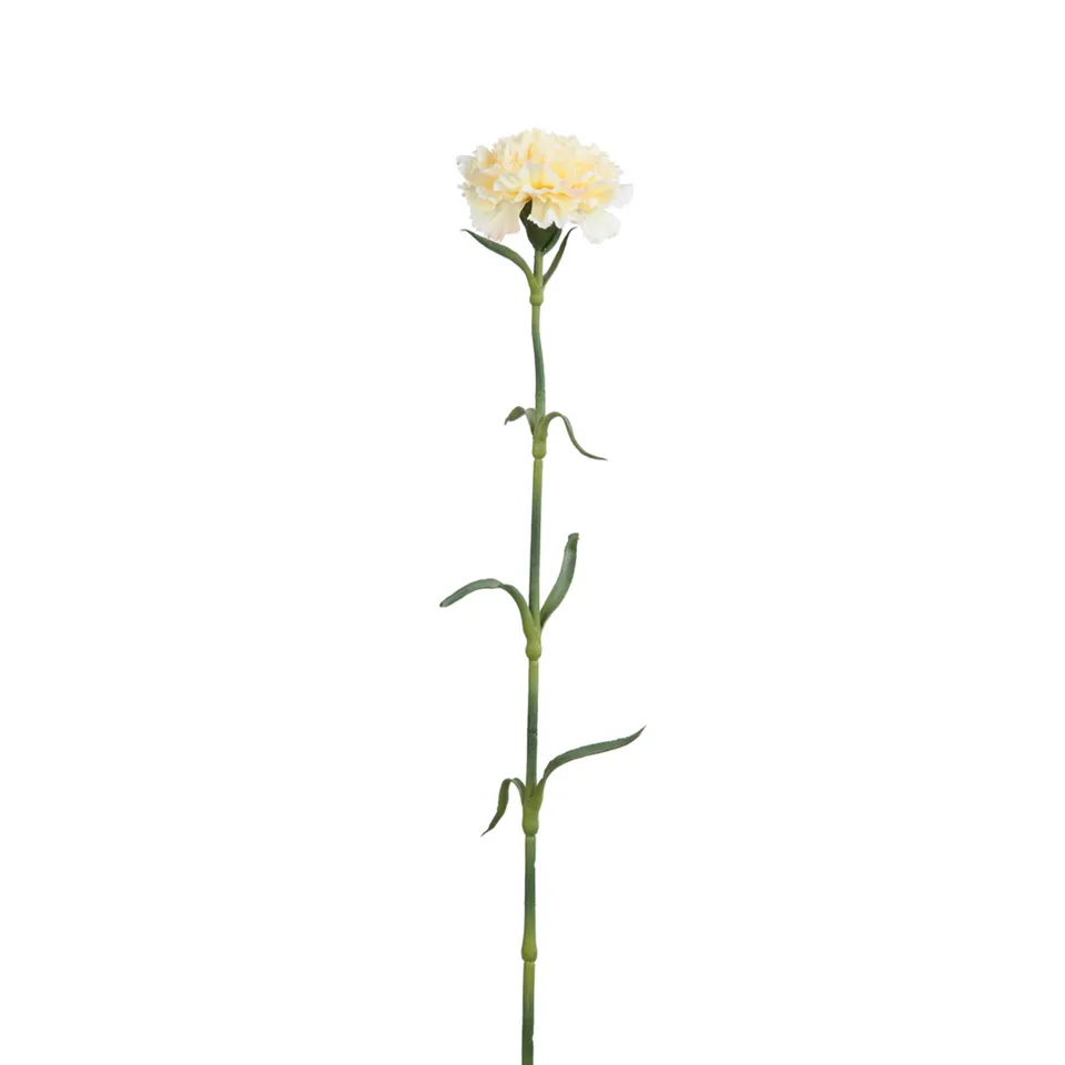 sia-noah-tige-oeillet-artificiel-55-cm-blanc-cr-me image 1