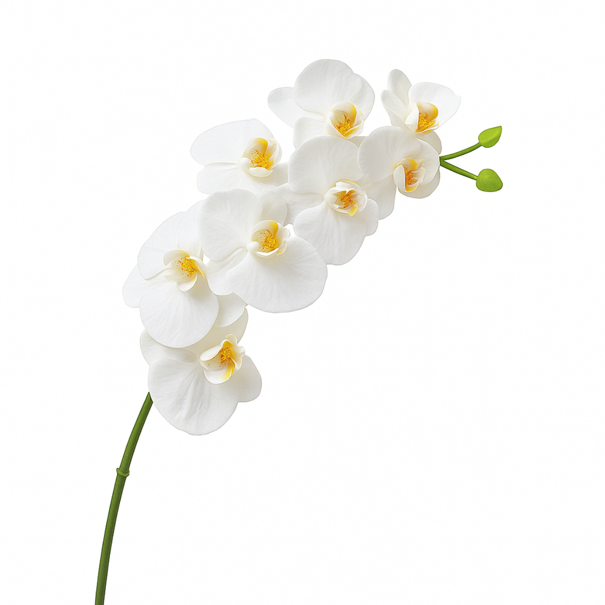 sia-noah-tige-orchid-e-artificielle-blanche-72-cm-premium image 1