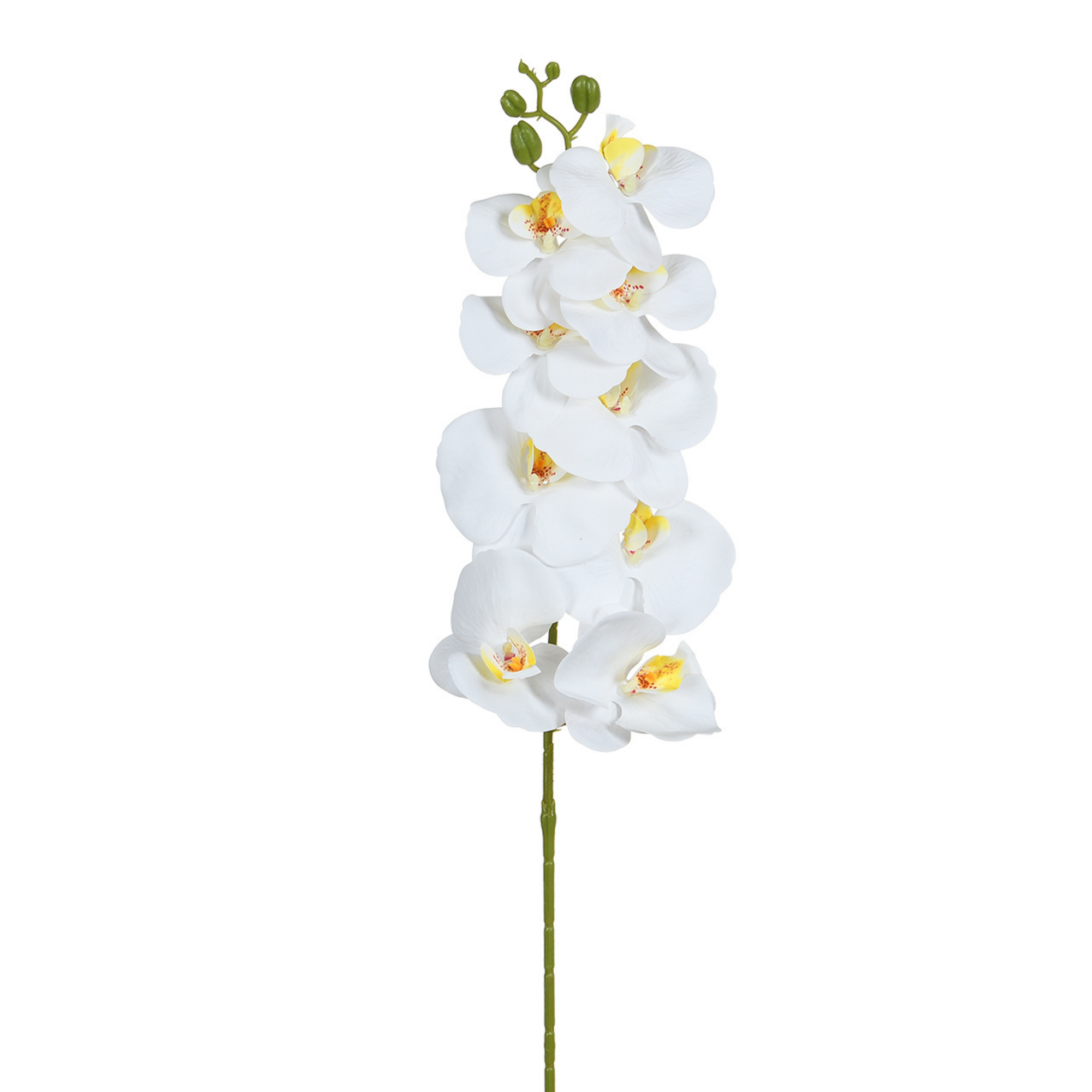 sia-deco-noah-tige-orchid-e-90-cm-blanc-jaune image 1