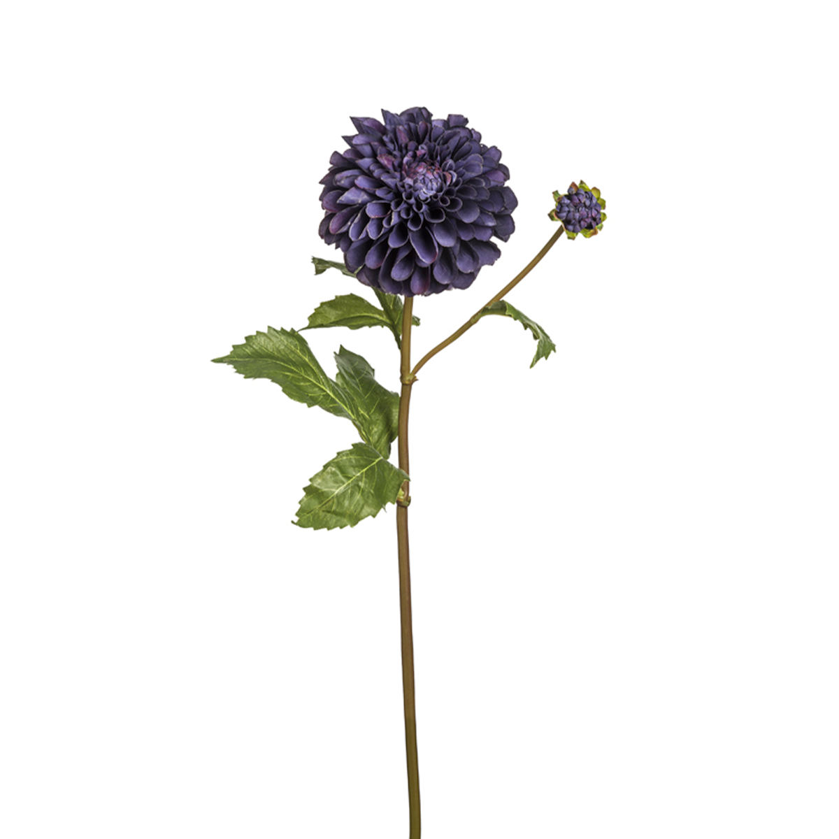 sia-deco-noah-bonnie-tige-dahlia-rose-50cm-bourgeon image 6