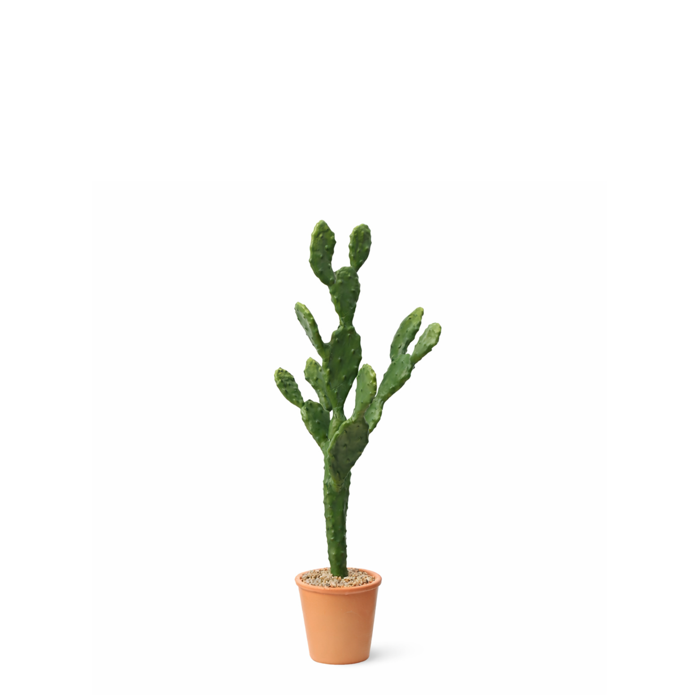 sia-deco-noah-cactus-artificiel-78-cm-vert image 1