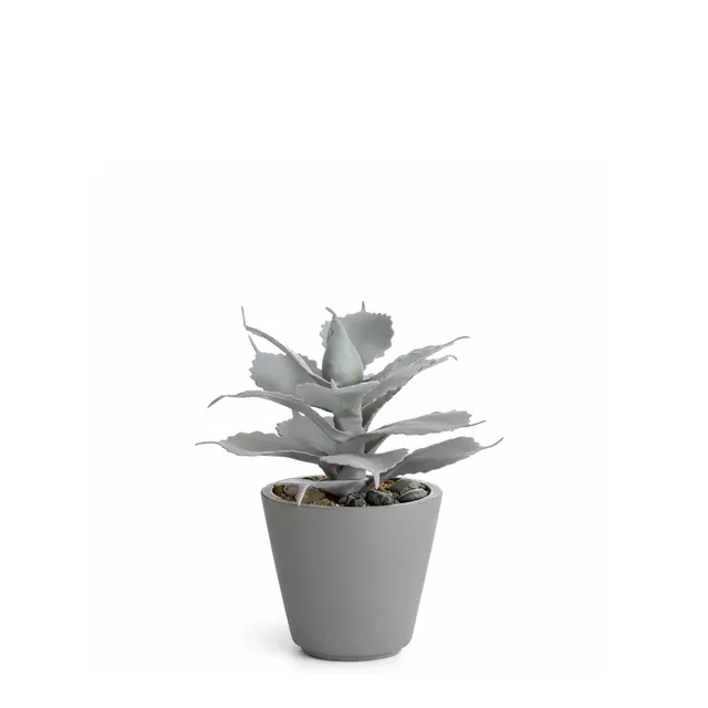 sia-deco-maya-succulente-artificielle-pot-rouge-23-cm image 1