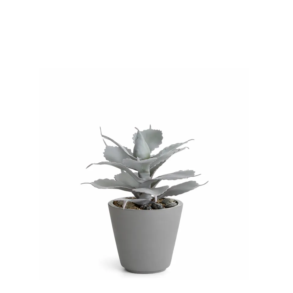 sia-deco-maya-succulente-artificielle-pot-rouge-23-cm image 1