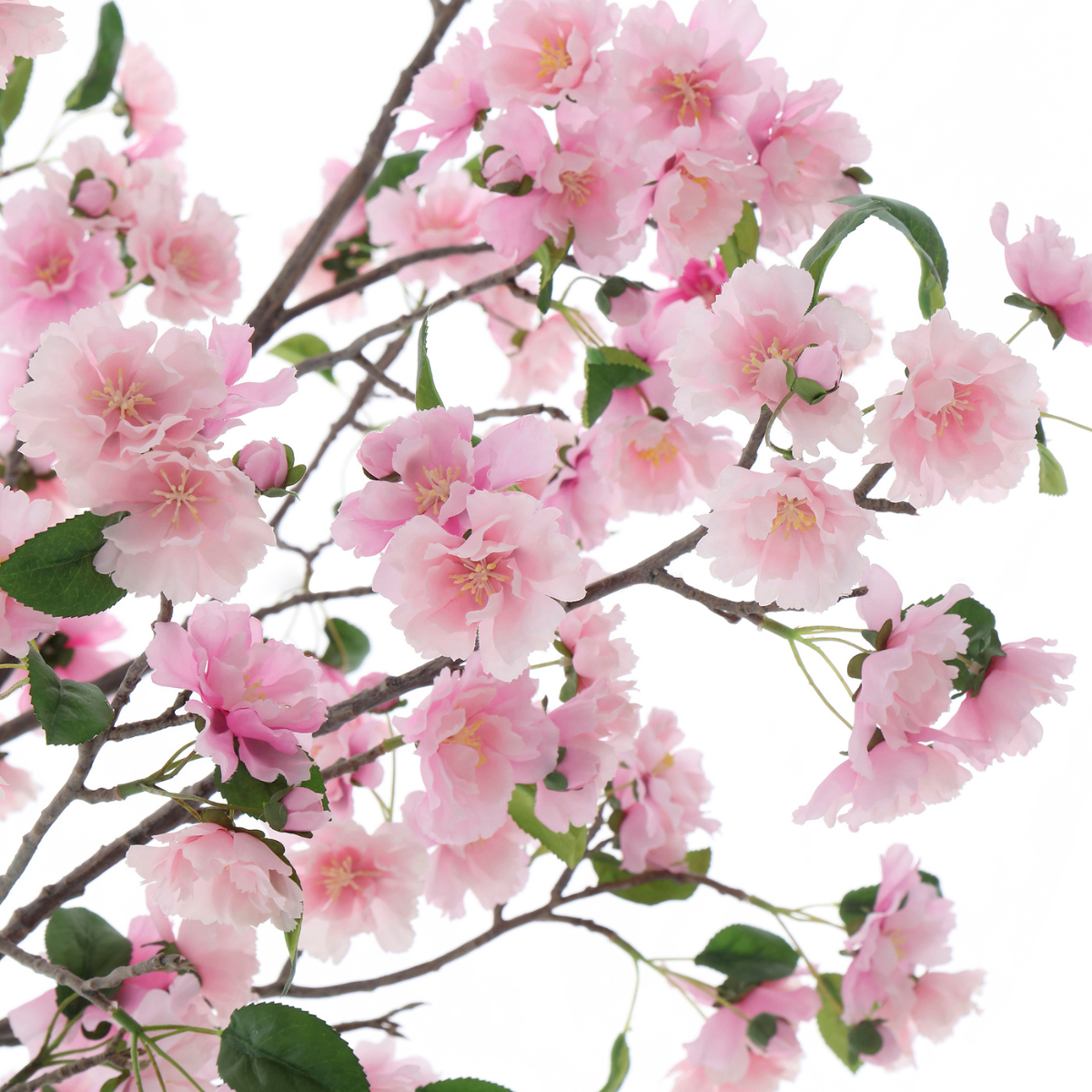 sia-deco-noah-cerisier-en-fleurs-pot-rose-210-cm image 4
