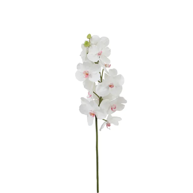 sia-noah-bandailan-tige-orchid-e-artificielle-66-cm-blanc image 1