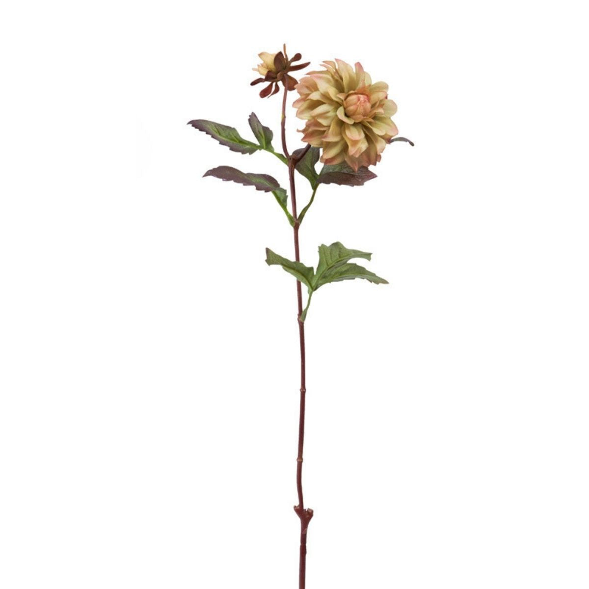 sia-deco-noah-tige-dahlia-waterlily-fleur-artificielle-cr-me-64-cm image 7