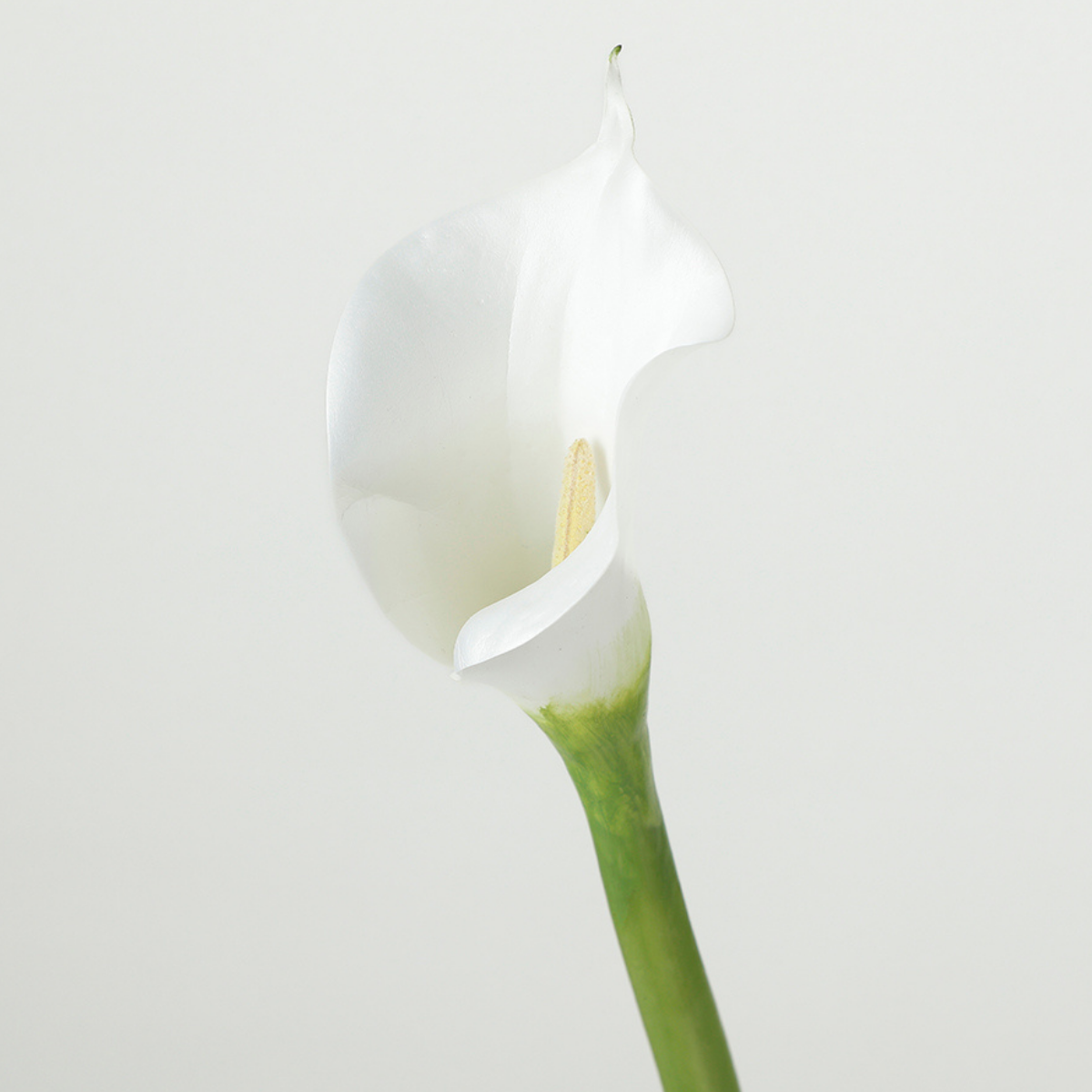 sia-deco-noah-tige-arum-artificielle-75cm-blanc image 3