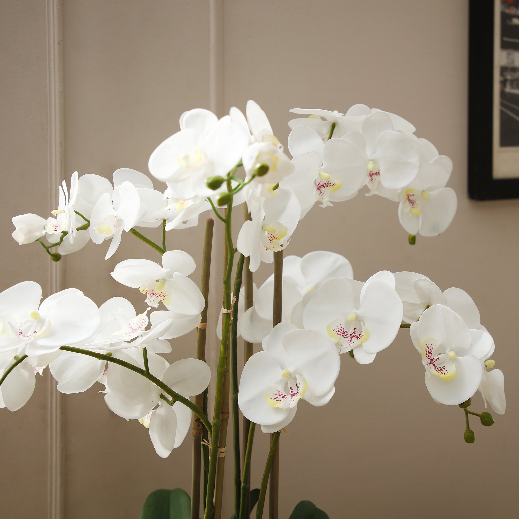 sia-deco-noah-orchid-e-75-cm-composition-artificielle-blanc image 3