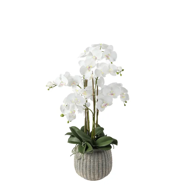 sia-deco-noah-orchid-e-75-cm-composition-artificielle-blanc image 1