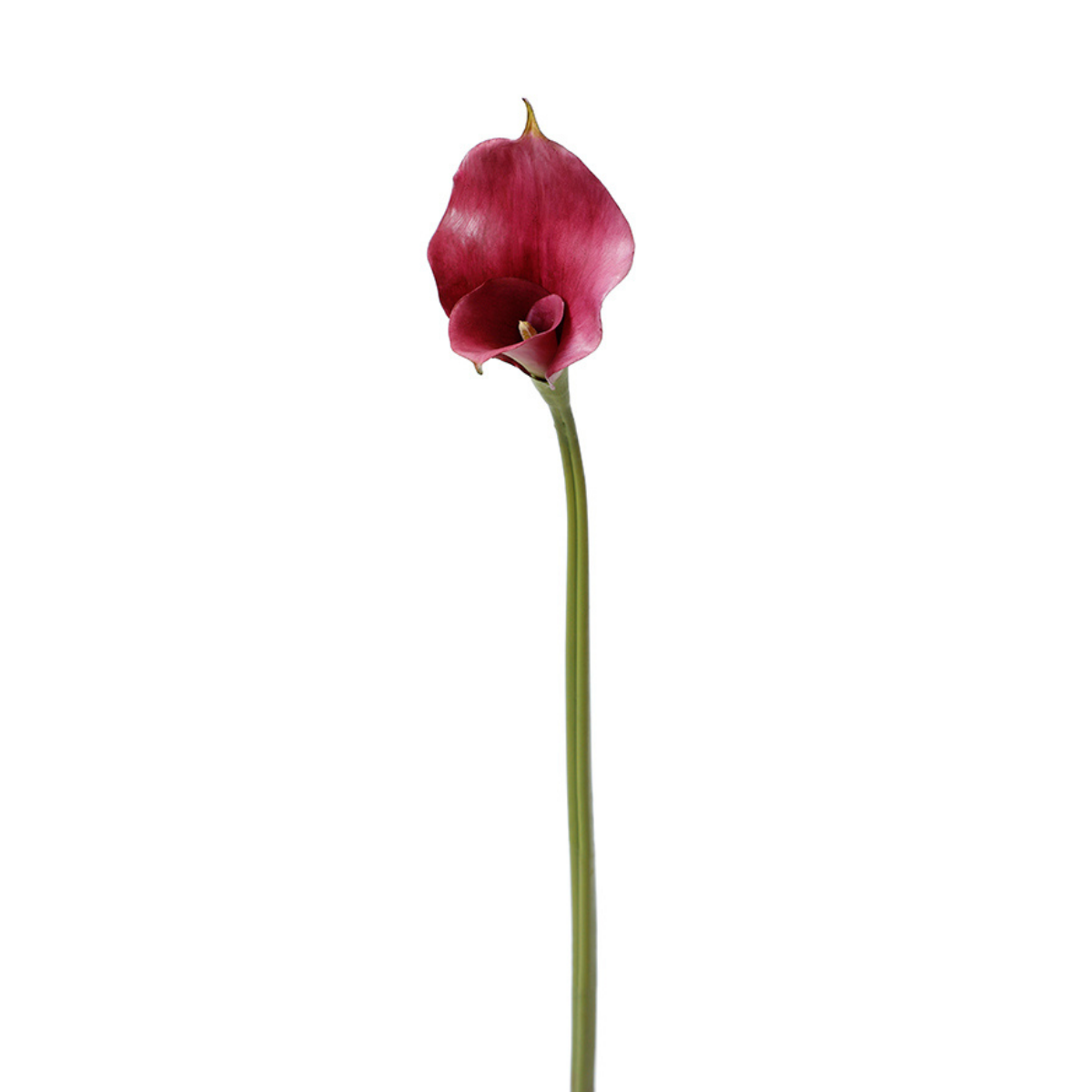 sia-noah-tige-arum-75-cm-fleur-artificielle-blanc-premium image 5