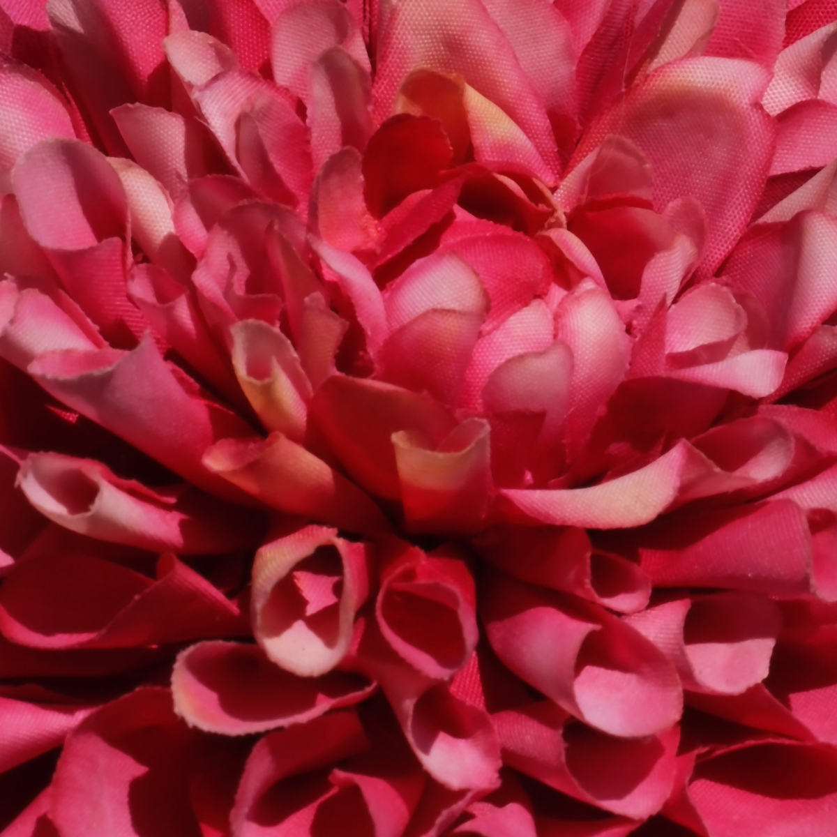 sia-deco-noah-clara-tige-dahlia-fuchsia-80-cm image 3