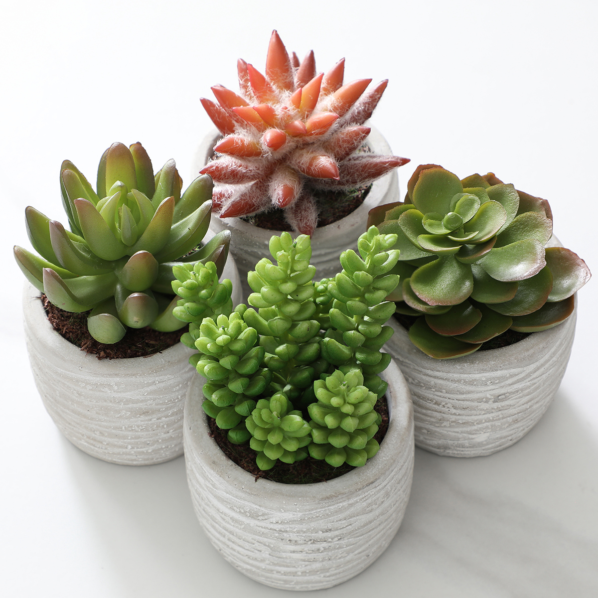 sia-noah-succulentes-plante-artificielle-pot-gris-14-cm image 2