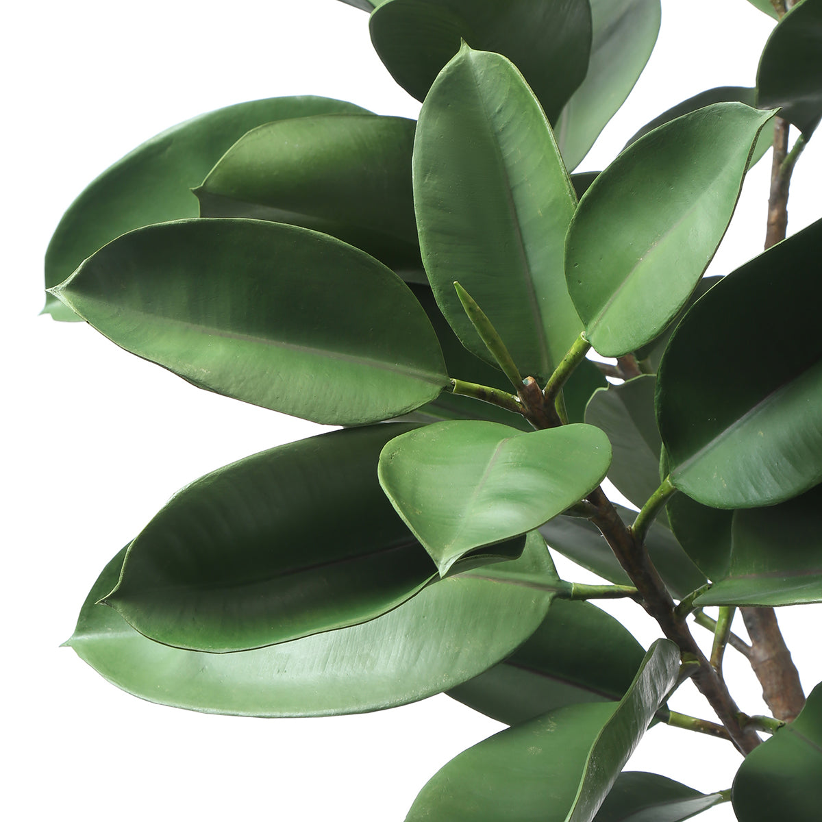 sia-noah-ficus-artificiel-vert-en-pot-165-cm-r-aliste image 4