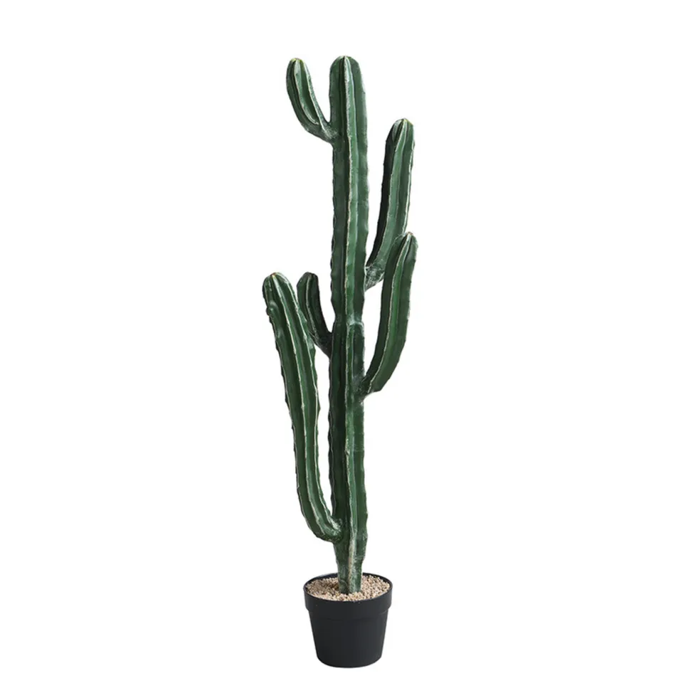 sia-deco-noah-cactus-cereus-vert-en-pot-105-cm image 1