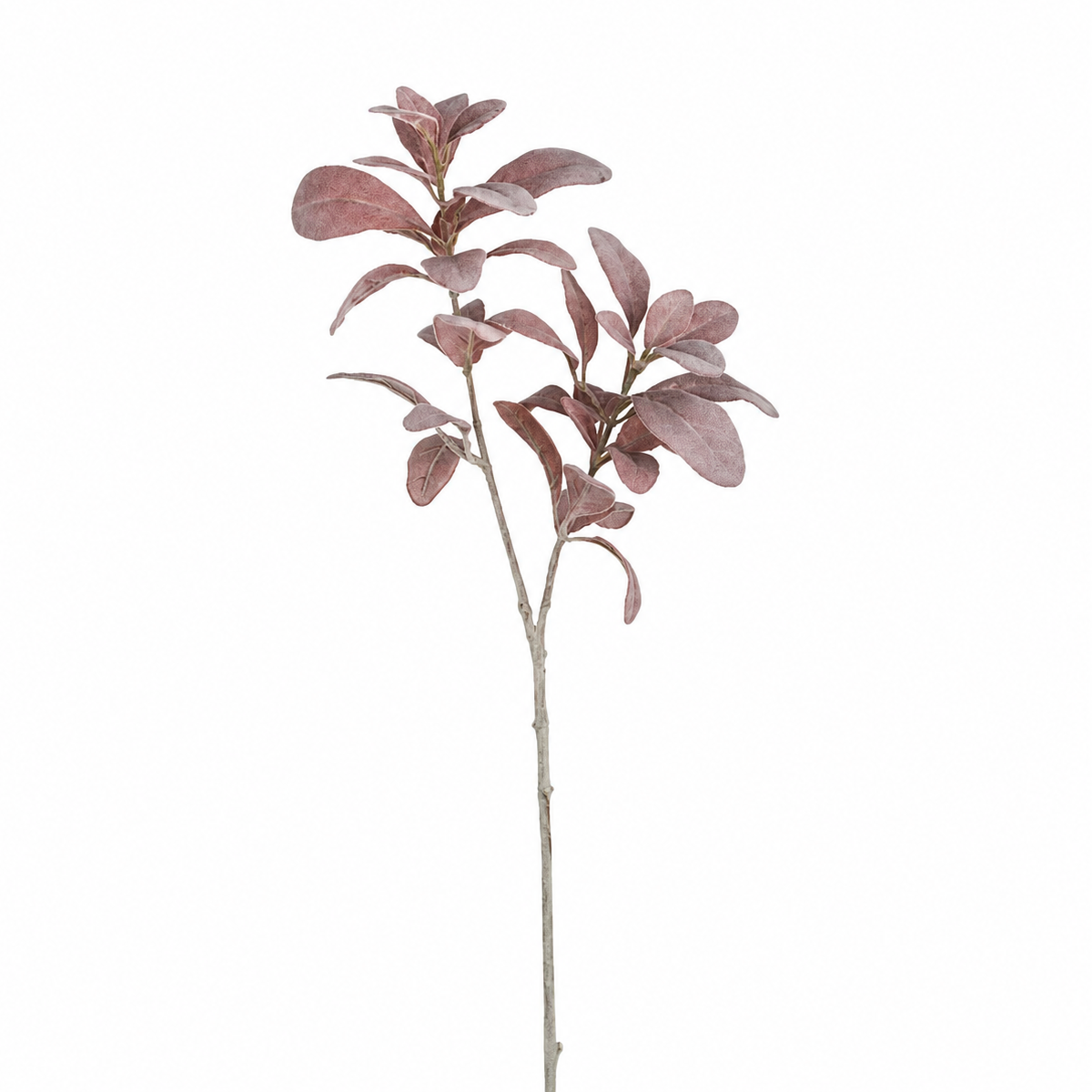 sia-deco-noah-oreille-d-agneau-feuillage-bordeaux-74-cm image 1
