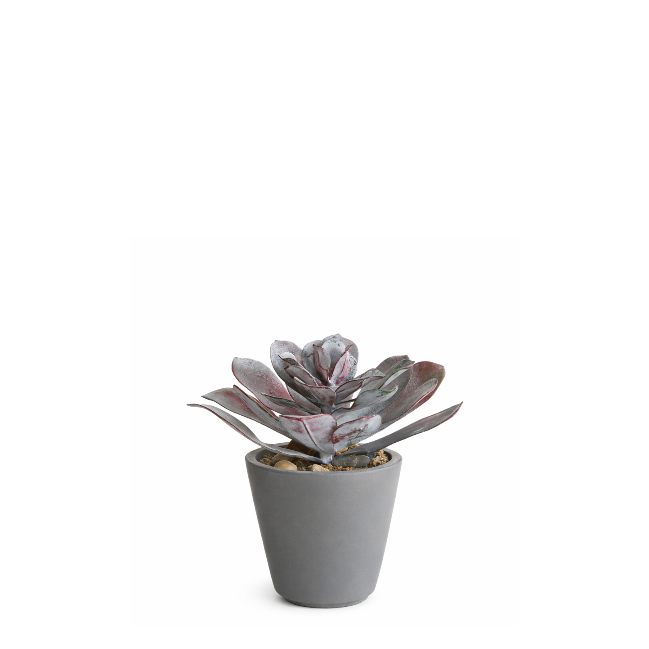sia-noah-succulente-pot-maya-rouge-21-cm image 1