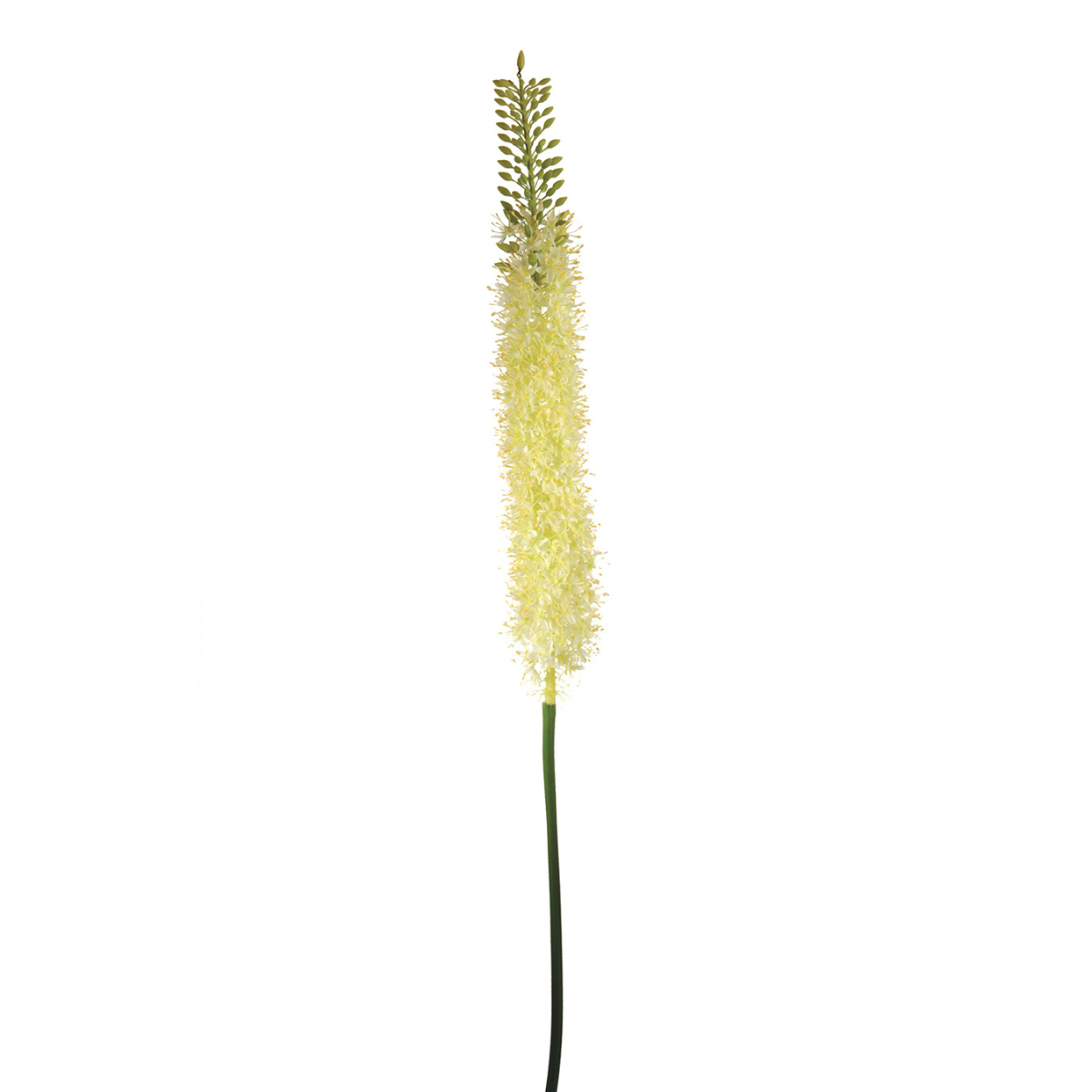 sia-noah-tige-lis-des-steppes-artificielle-125-cm-blanc image 1