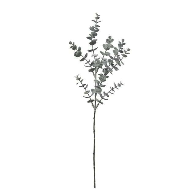 sia-noah-eucalyptus-artificiel-53-cm-vert-blanchi image 1