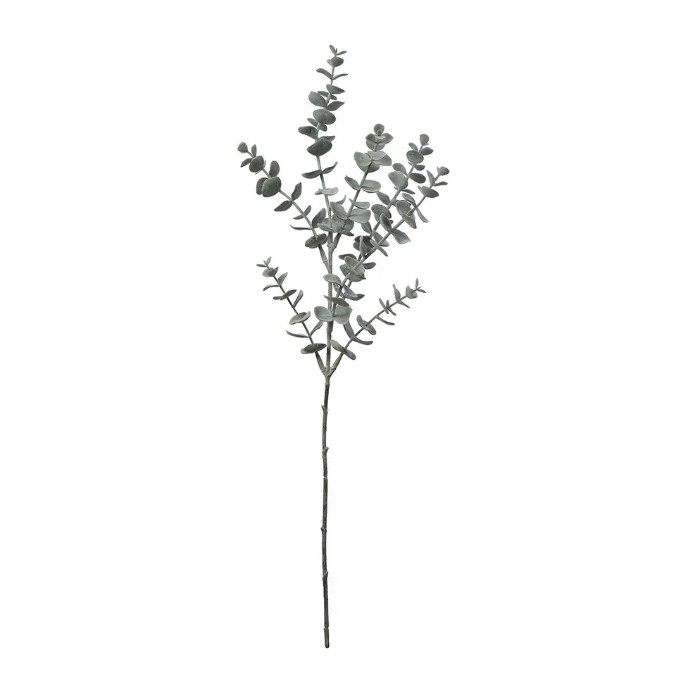 sia-noah-eucalyptus-artificiel-53-cm-vert-blanchi image 1