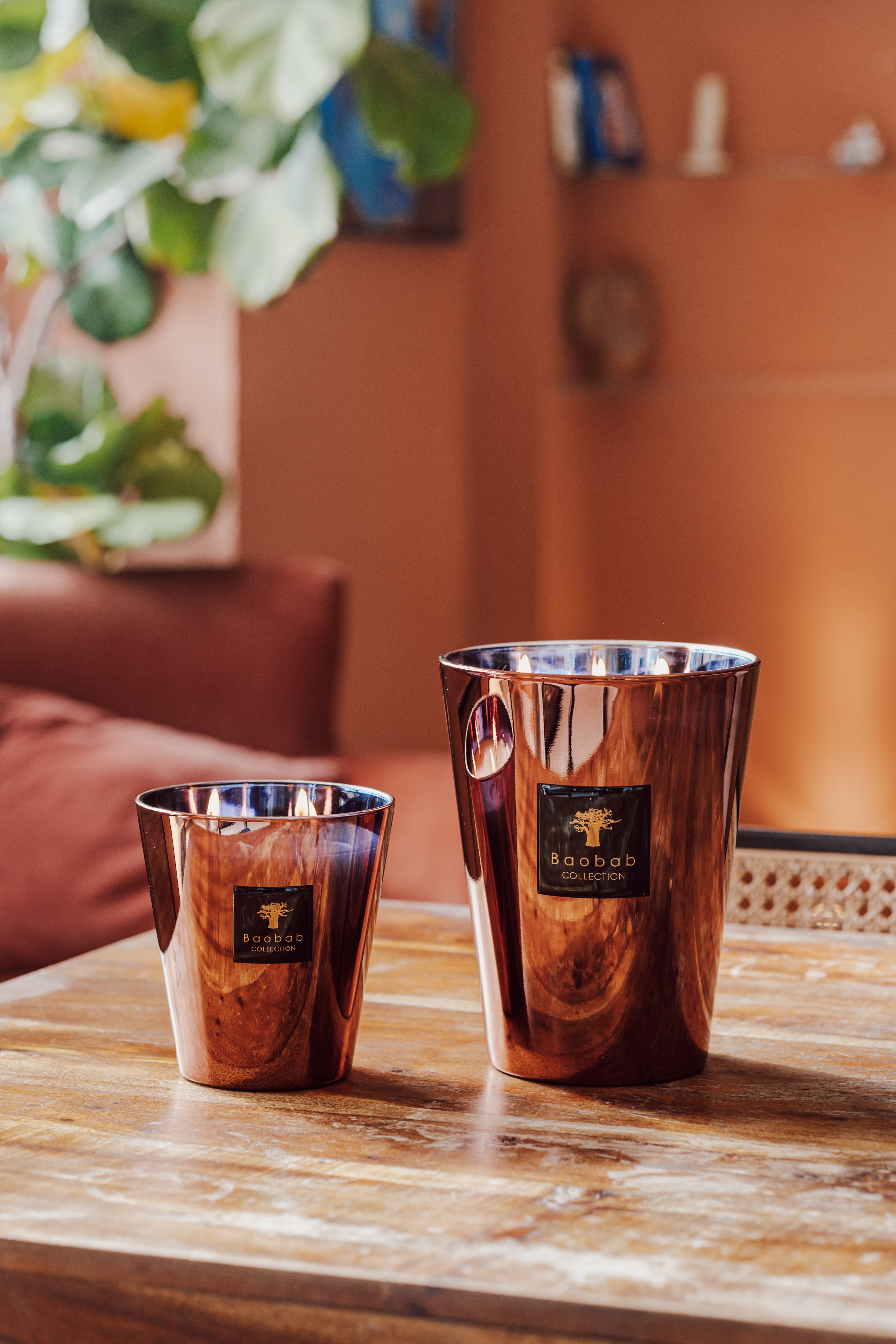 baobab-collection-les-exclusives-cyprium-bougie-parfum-e-cuivre image 4