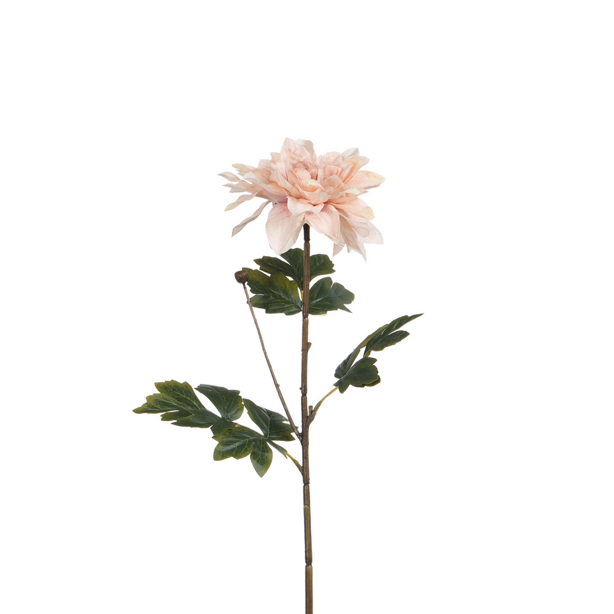 sia-noah-tige-dahlia-blanc-65-cm-fleur image 4