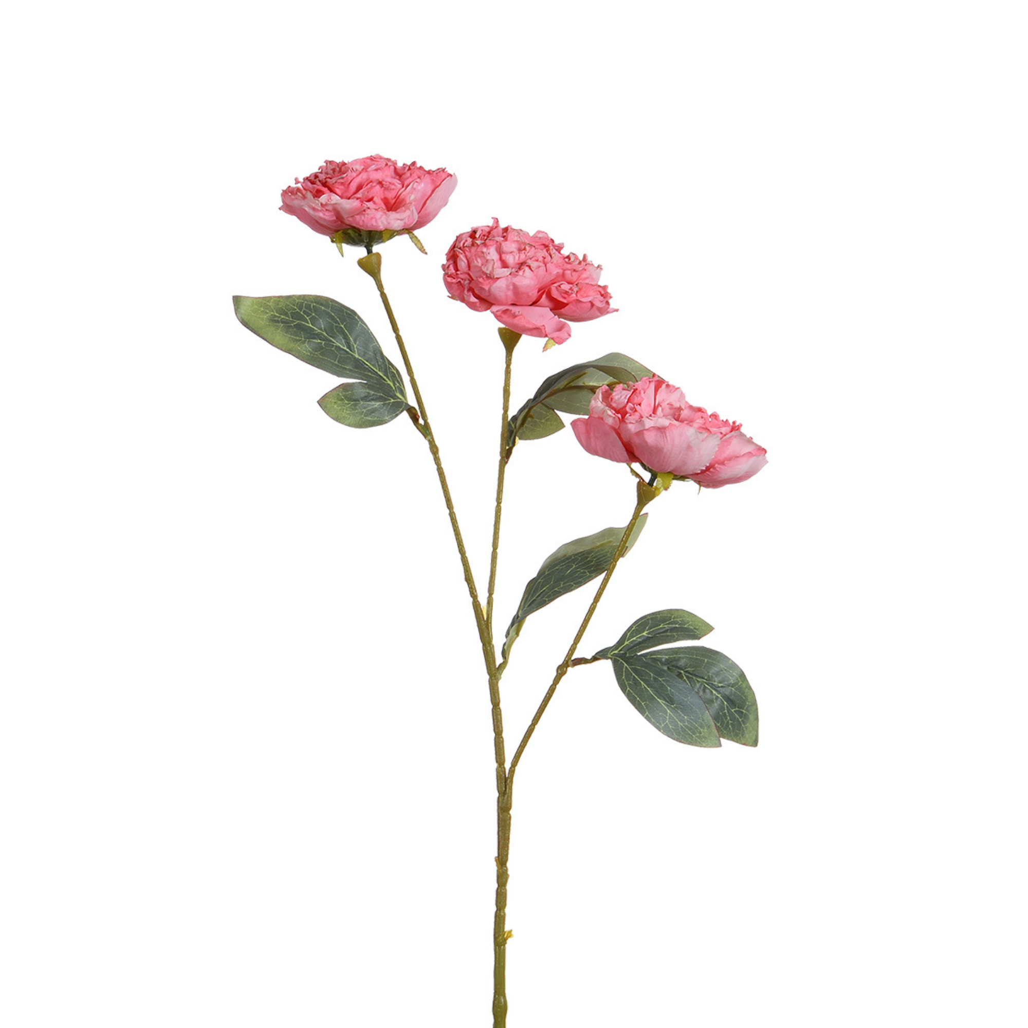sia-deco-noah-tige-pivoine-artificielle-blanc-85-cm-branchage image 4